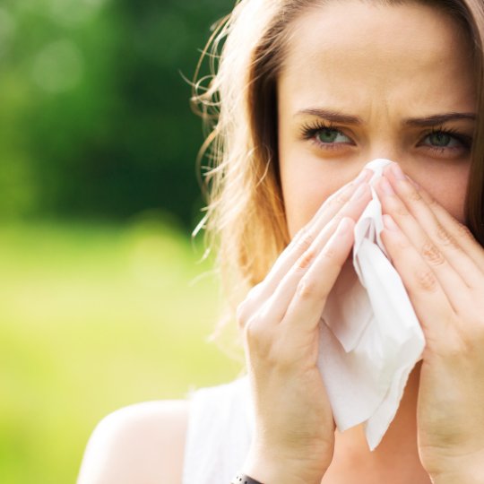 Allergien und Heuschnupfen